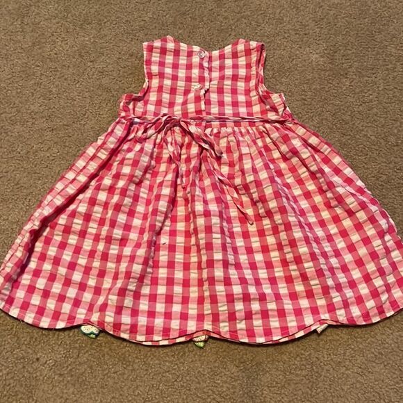 Youngland Pink and White Gingham with Flower Decals and 1/2 Button Up Back Dress - Picture 2 of 5